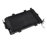 Engine Radiator,Radiator Kit Fit For CFMOTO CF400NK CF650NK CF 400NK 650NK A000-180100 2011-2021Motorcycle Engine Parts Water Cooler Tank Radiator(2011-2019)