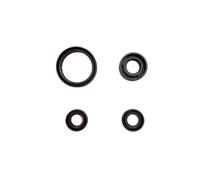 Engine Seal Kit Compatible With YBS300 YB300H Countershaft Seal Crank Seal Shift Shaft Seal Clutch Pushrod Seal(Oil Seal Set)