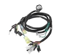 Engine Wiring Harness For Four Trax300 TRX300 2x4 TRX300FW 4X4 1997-2000 Wire Wiring Harness 32100-HM5-A10 Complete Wiring Harness kit