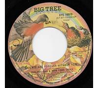 England Dan & John Ford Coley 45 RPM Showboat Gambler / Nights Are Forever Without You