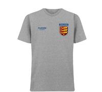England Three Lions Bars Logo Men's T-Shirt - Gray / M