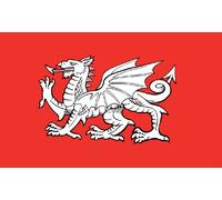 England White Dragon Flag 5ft x 3ft