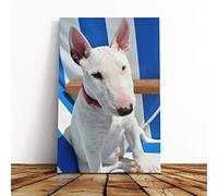 English Bull Terrier Canvas Print | Gallery Wrapped 30mm Frame Wall Art | 24x16 inches | Ready to Hang | Modern Animals Picture | Living Room Bedroom Lounge Office