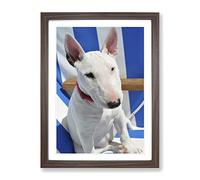 English Bull Terrier Modern Framed Print | A3 Walnut Framed Wall Art | Ready to Hang | Modern Animal Picture | Living Room Bedroom Lounge Office