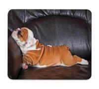 English Bulldog Mouse Pad, Puppy Resting on a Sofa Durable Desk Mat