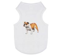 'English Bulldog' Pet Dog/Cat T-Shirt (PT00072029)