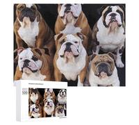 English Bulldogs 500 Piece Jigsaw Puzzle for Adults Challenging Puzzles for Cognitive Workout Unique Shaped Jigsaw Puzzle Relaxing Gift Home Wall Decor
