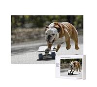 English BullDogs Bokeh Skateboard Pets English,300 Pieces Wooden Jigsaw Family Game Jigsaw Puzzles for Adults Teens Home Decor