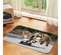 English Bulldogs Bokeh Skateboard Pets English,Waterproof Pet Feeding Mat,PU Leather Placemats for Cat Dog Water Bowl,Food Mats,30x45cm