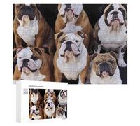 English Bulldogs Jigsaw Puzzle Challenging Fun Puzzle Wooden Jigsaw Puzzles for Adults Families 300 PCS