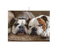 English Bulldogs - Kitchen Drying Mats for Dishes Washable Absorbent Dish Draining Mat Heat Resistant Drying Pad for Countertop 18 x 24 in
