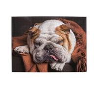 English BullDogs Muzzle Pets Sleeping Dogs,500 Pieces Puzzles for Adults-Wooden Jigsaw Puzzle for Adults Elderly