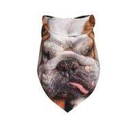 English BullDogs Muzzle Pets Sleeping Dogs,Bib Scarf Triangle Hood Adjustable Pet Scarf Washable Hood Suitable for Small, Medium and Large Dogs and Cats