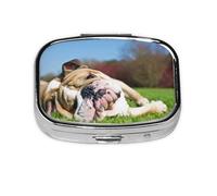 English Bulldogs Tired Dogs Lawn Pets English,Meta Pill Box 2 Compartment Medicine Case,Portable Organizer,Rectangle Meta Portable Organizer Pill Box 1267 Compartment Medicine Case