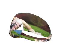 English BullDogs Tired Dogs Lawn Pets English,Sports Sweatband for Unisex Multi Headband Elastic Exercise Hairband