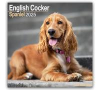 English Cocker Spaniel 2025 Square Wall Calendar | Dog Breed Calendar