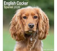 English Cocker Spaniel 2026 Calendar | Square Wall Calendar | Dog Breed Gift | Plastic Free Packaging | by Avonside Publishing