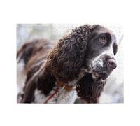 English Cocker Spaniel Brownish White Curly Dogs,500 Pieces Puzzles for Adults-Wooden Jigsaw Puzzle for Adults Elderly