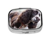 English Cocker Spaniel Brownish White Curly Dogs,Meta Pill Box 2 Compartment Medicine Case,Portable Organizer,Rectangle Meta Portable Organizer Pill Box 1262 Compartment Medicine Case