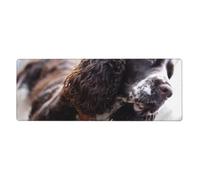 English Cocker Spaniel Brownish White Curly Dogs,Mouse Pad Large Desk Pad Computer Keyboard Mouse Mat With Non Slip Rubber Base 30 x 80 cm