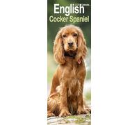 English Cocker Spaniel Slim 2026 Calendar | Slimline Wall Calendar | Dog Breed Gift | Plastic Free Packaging | by Avonside Publishing