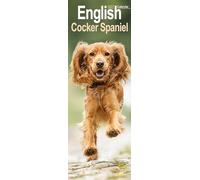 English Cocker Spaniel Slim 2027 Calendar | Slimline Wall Calendar | Dog Breed Gift | Plastic Free Packaging | by Avonside Publishing