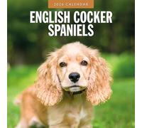 English Cocker Spaniels - 2026 Square Wall Calendar - by Red Robin Publishing