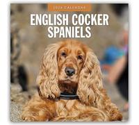 English Cocker Spaniels 2026 Square Wall Calendar: Original Red Robin Publishing Ltd-Kalender [Mehrsprachig] [Kalender]