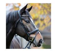 English-combined riding halter Kavalkade Juliana KavalSH9