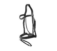 English-combined riding halter with pull-back noseband Dy'on