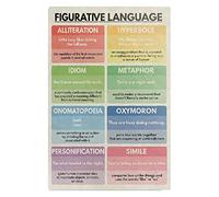 English Education Poster Figurative Language Metal Sign English Teacher Teaching Plaque Decoration Home Room Classroom Children Learning Wall Decor 8x6 Inches