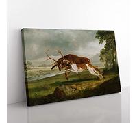 English Hound with A Stag by George Stubbs Canvas Wall Art Print 30x20 Inch