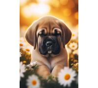 English Mastiff Puppy face Notebook - Large 6 x 9 inches - 127 Pages