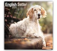 English Setter Calendar 2025 Square Dog Breed Wall Calendar - 16 Month 97818046