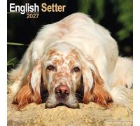 English Setter 2027 Calendar | Square Wall Calendar | Dog Breed Gift | Plastic Free Packaging | by Avonside Publishing