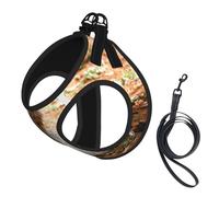 English Setter Autumn Pets Dogs English,Pet Harness,Adjustable Reflective Dog Harness,Pet Leash Vest,L