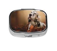 English Setter Autumn Pets Puppy Dogs English,Meta Pill Box 2 Compartment Medicine Case,Portable Organizer,Rectangle Meta Portable Organizer Pill Box 1249 Compartment Medicine Case