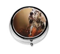 English Setter Autumn Pets Puppy Dogs EnglishMeta Pill Box 3 Compartment Medicine Case,Portable Organizer