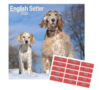 English Setter Calendar 2026 | 16 months | with FREE Organisational Stickers, English Setter Gift