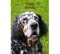 English Setter Dog Birthday Card
