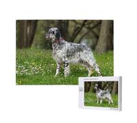 English Setter Lawn Pets Dogs English Setter,1000 Pieces Wooden Jigsaw Family Game Jigsaw Puzzles for Adults Teens Home Decor