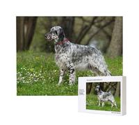 English Setter Lawn Pets Dogs English Setter,500 Pieces Wooden Jigsaw Family Game Jigsaw Puzzles for Adults Teens Home Decor
