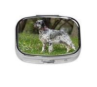 English Setter Lawn Pets Dogs English Setter,Meta Pill Box 2 Compartment Medicine Case,Portable Organizer,Rectangle Meta Portable Organizer Pill Box 1238 Compartment Medicine Case