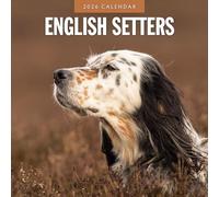 English Setters - 2026 Square Wall Calendar - by Red Robin Publishing