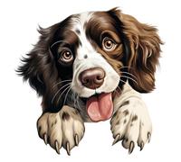 English Spaniel Dog Vinyl Decals, Springer Sticker for Door, Car and Toilet