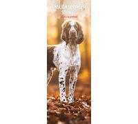 English Springer Spaniel 2025 Slim Calendar