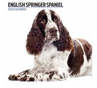 English Springer Spaniel 2026 Modern Calendar