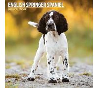 English Springer Spaniel 2026 Traditional Calendar