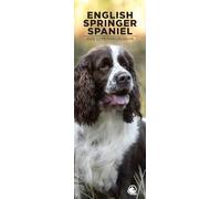 English Springer Spaniel 2026 Wall Calendar, 12-Month Slim Format, Made in England