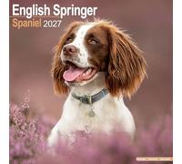 English Springer Spaniel 2027 Calendar | Square Wall Calendar | Dog Breed Gift | Plastic Free Packaging | by Avonside Publishing